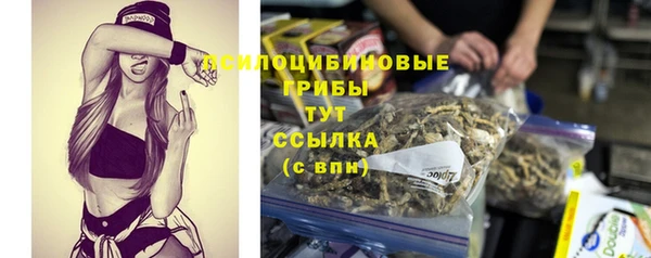mix Арсеньев