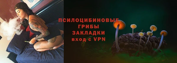 МДПВ Армянск