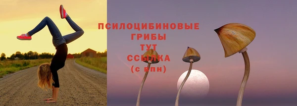 марки nbome Аркадак