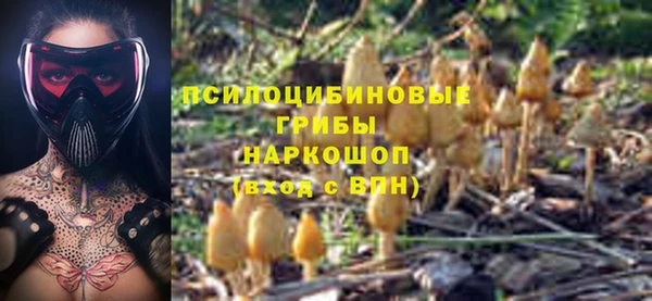 mix Арсеньев