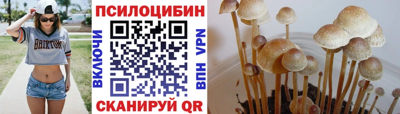 цены наркотик  Крым  Псилоцибиновые грибы GOLDEN TEACHER 